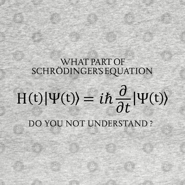 the Schrödinger Equation by ScienceCorner